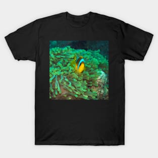 Clownfish T-Shirt